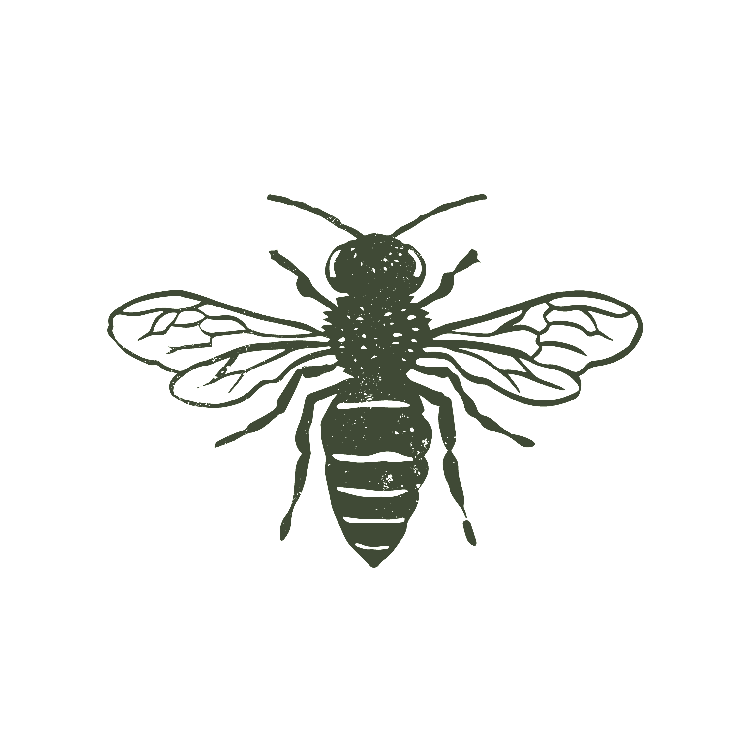 Spier-Illustration-bee (green)