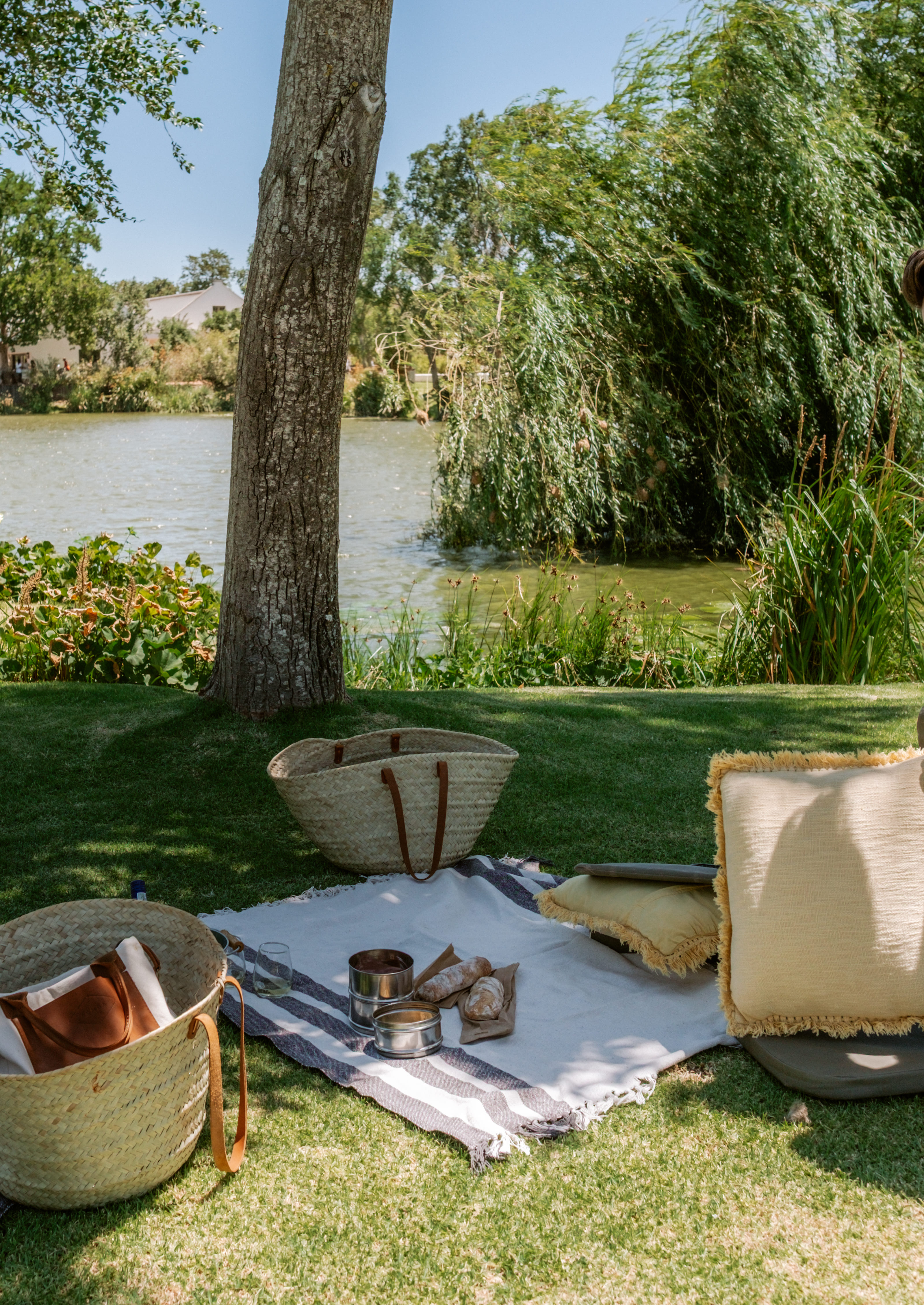 Spier-Picnic