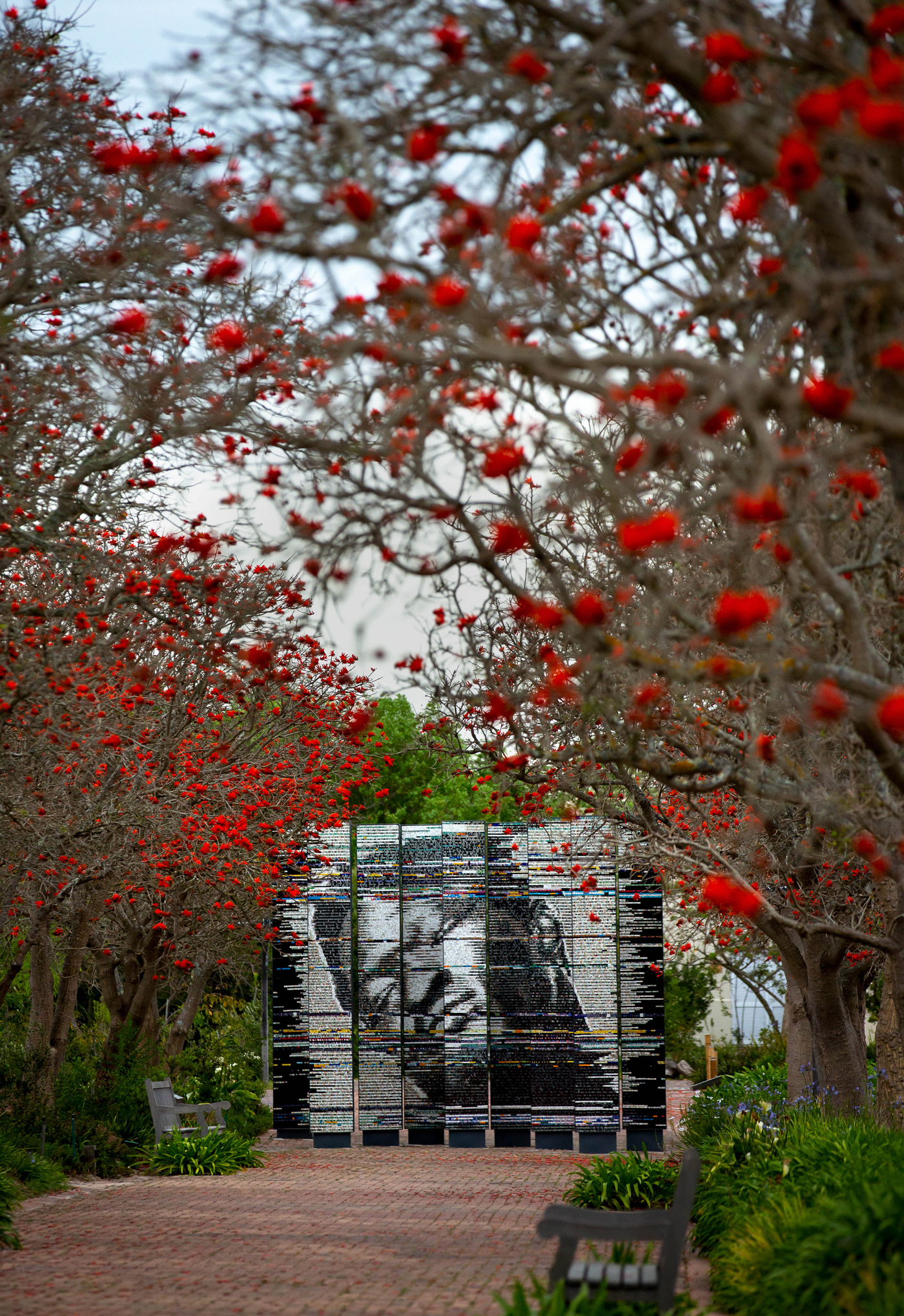 Spier-Art-The-Dying-Slave-Coral-Lane-202301-LRR