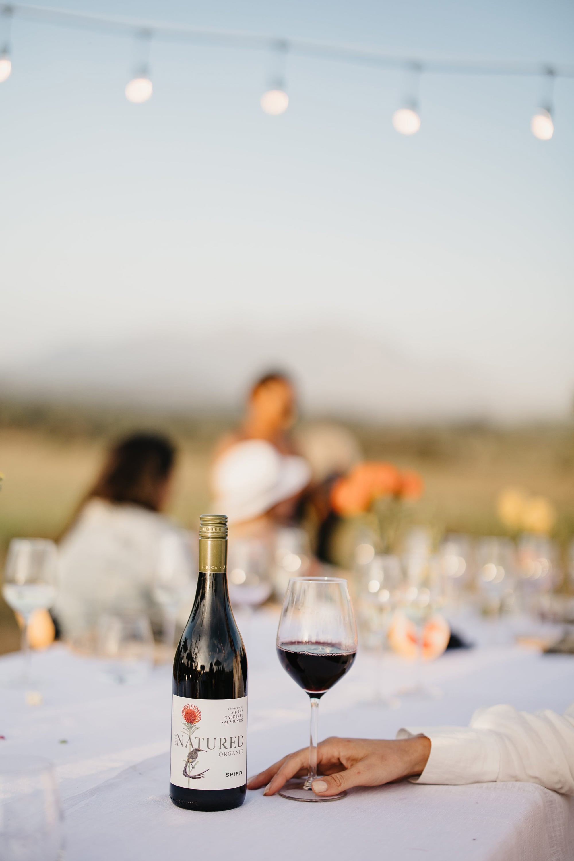 Spier-Good-Natured-Cabernet-Sauvignon_04-lr