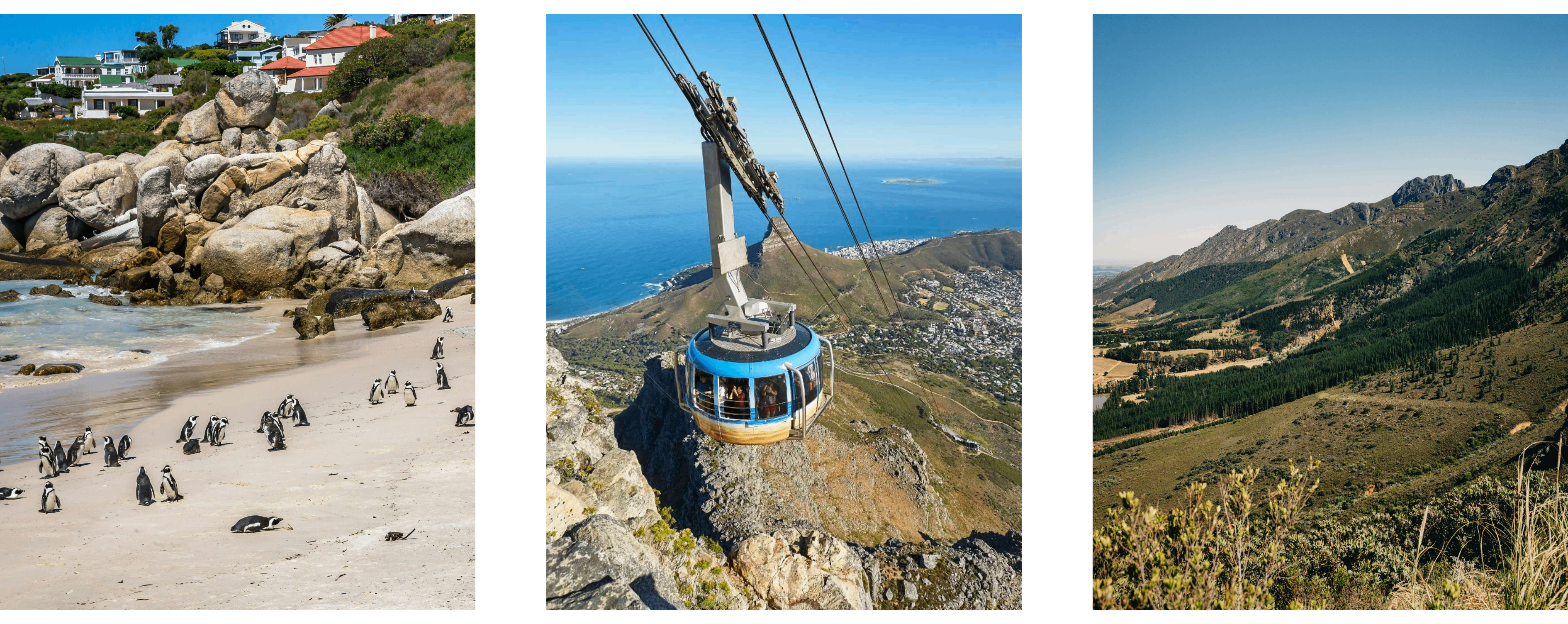 Explore-the-Cape-Day-trips-from-Spier-Hotel