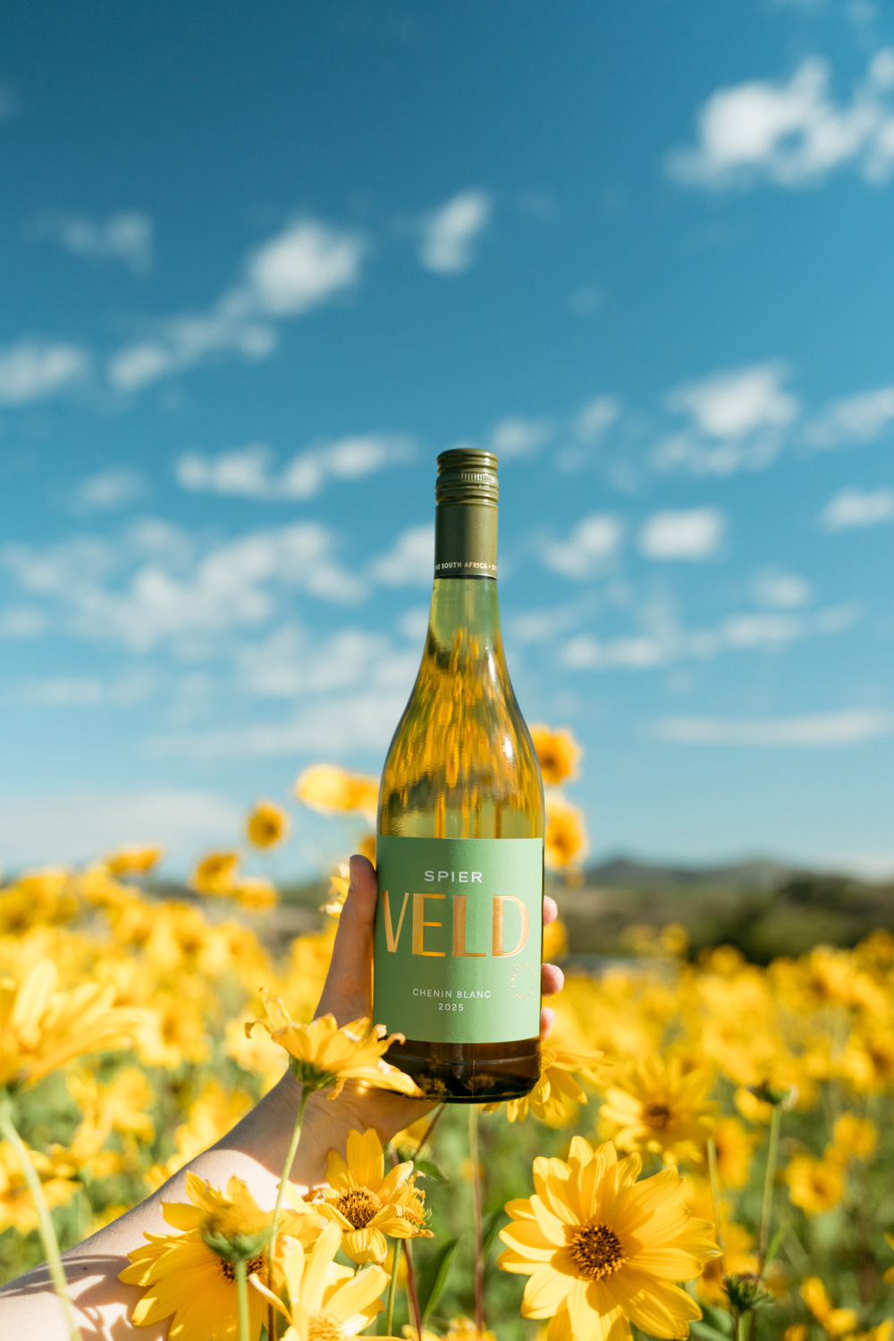 VELD-FLOWER-PICS-2026-V2-1