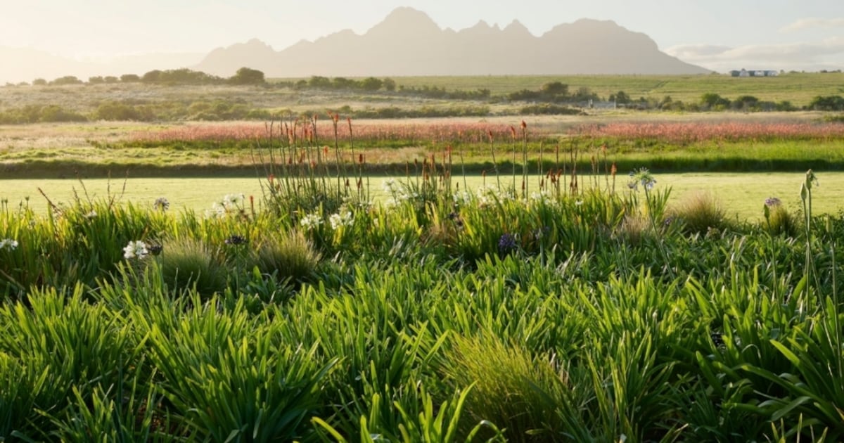 Spier-Garden-Landscape